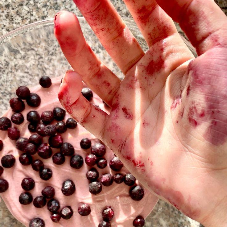 Rustic Harvest: Handpicked Berry Medley